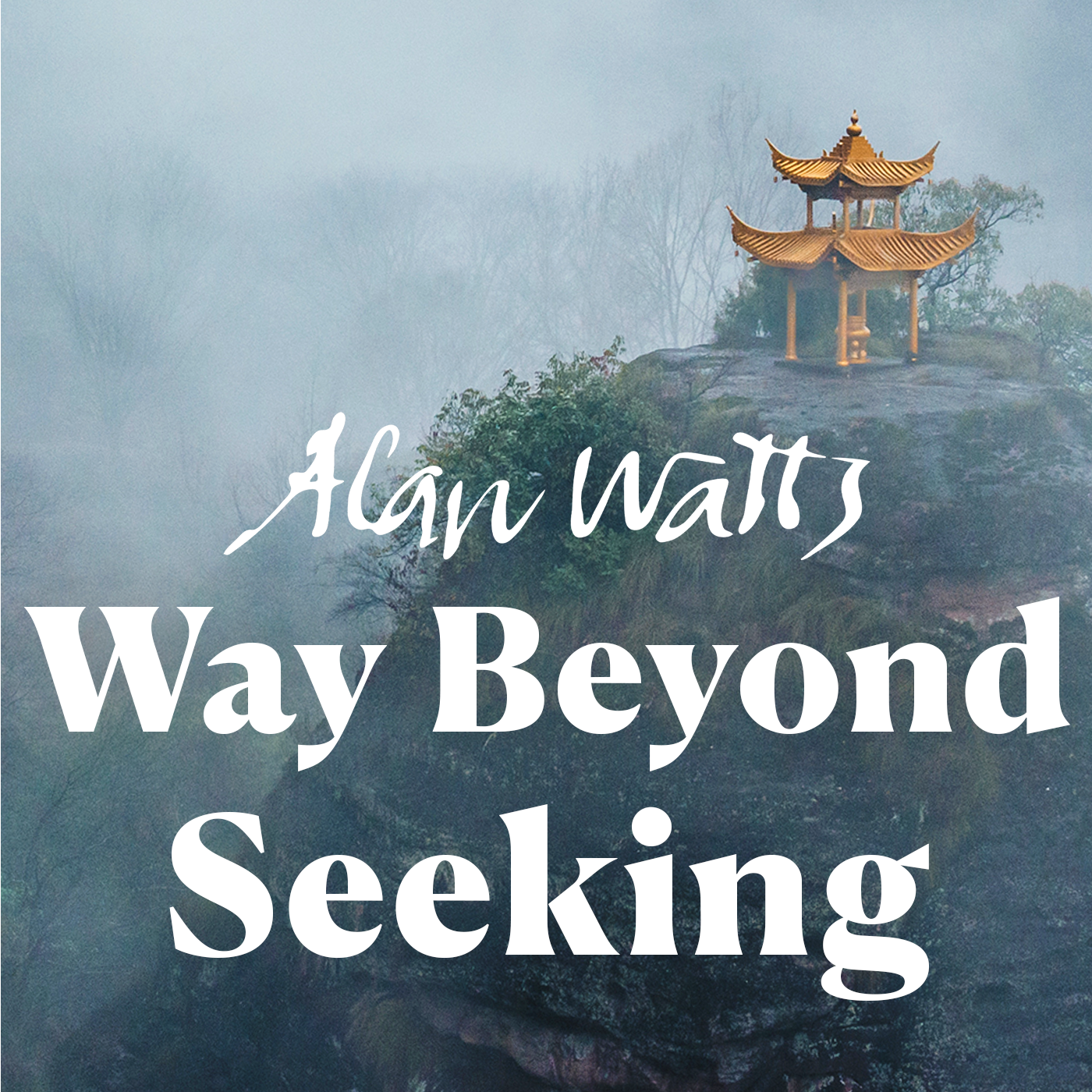 Way Beyond Seeking