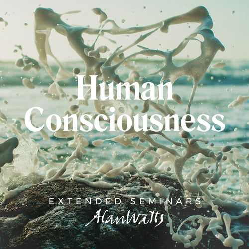 Human Consciousness